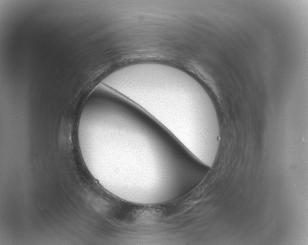 X0000076230115200609280957