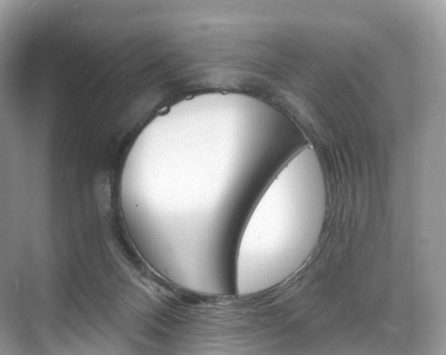 X0000076230120200609280957