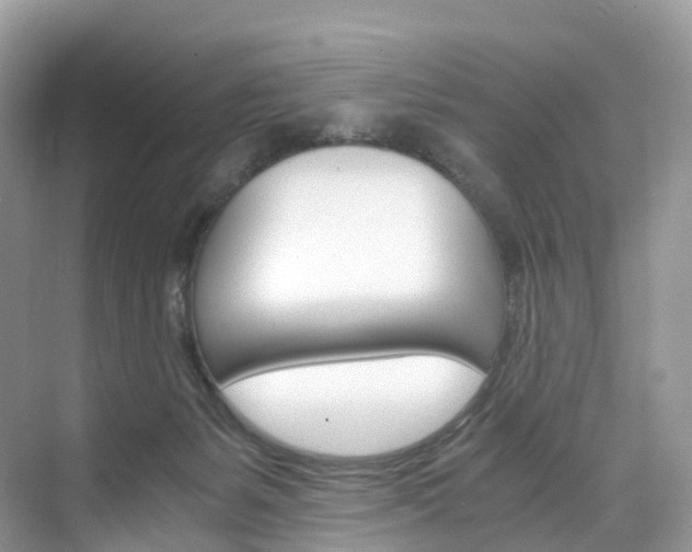 X0000076230127200609280957