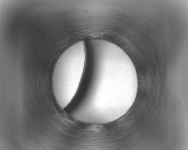 X0000076230128200609280957