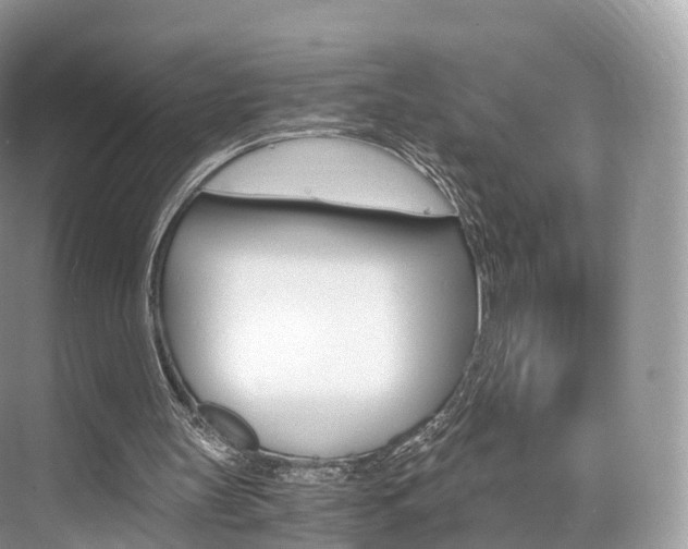 X0000076230147200609280956