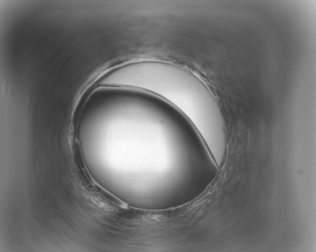 X0000076230152200609280956