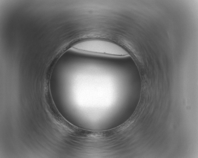 X0000076230164200609280956