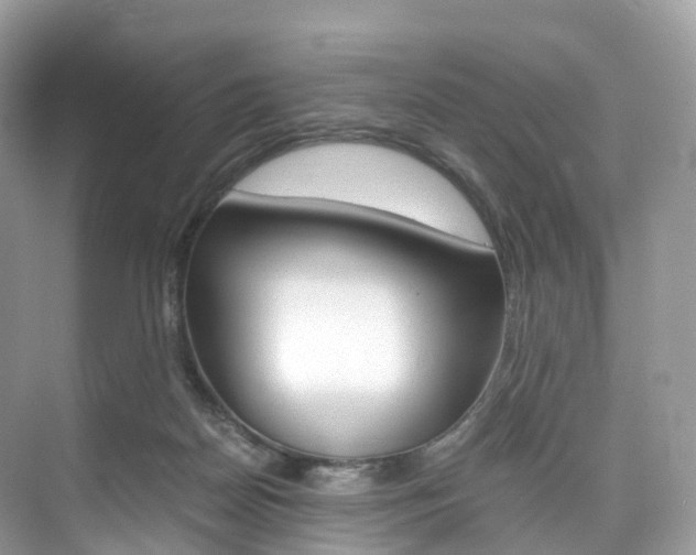 X0000076230170200609280956