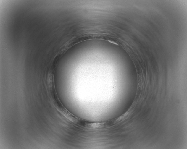 X0000076230184200609280957