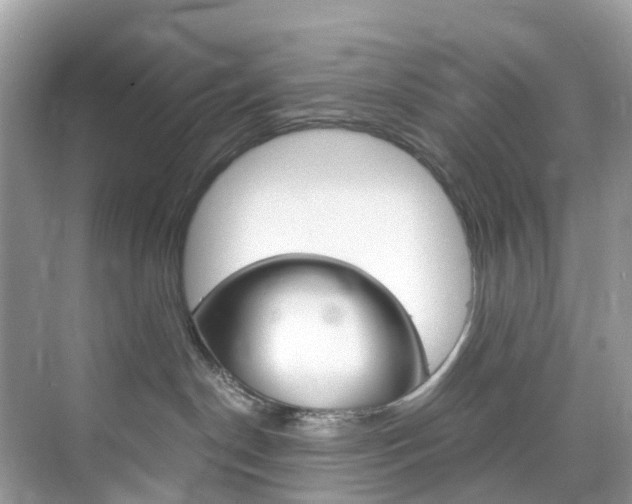 X0000076230190200609280957