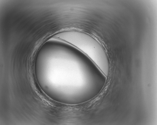 X0000076230193200609280956