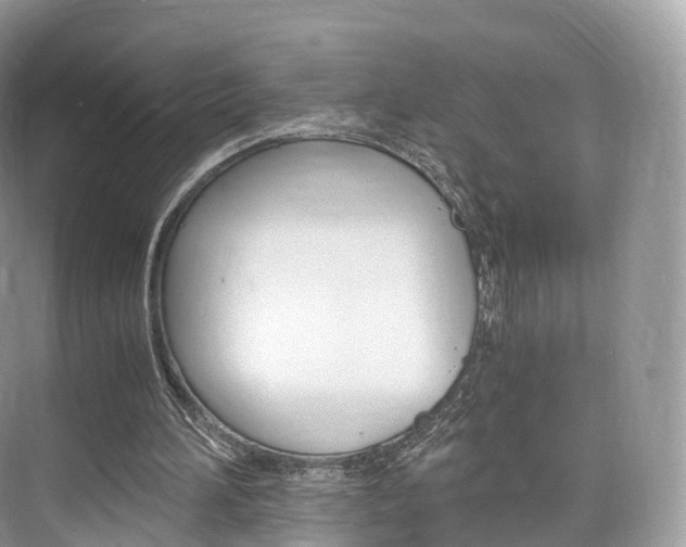 X0000076230196200609280956