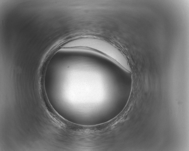 X0000076230197200609280956