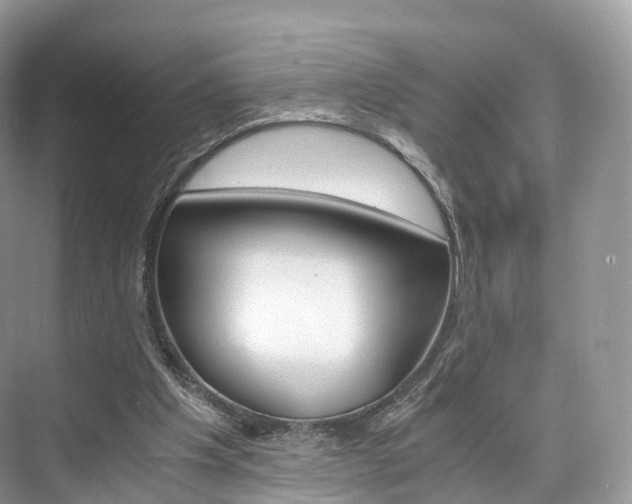 X0000076230201200609280956