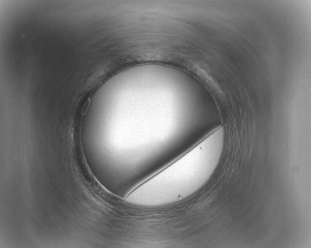 X0000076230207200609280956