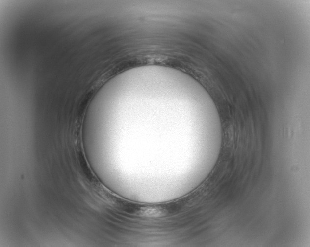 X0000076230218200609280956
