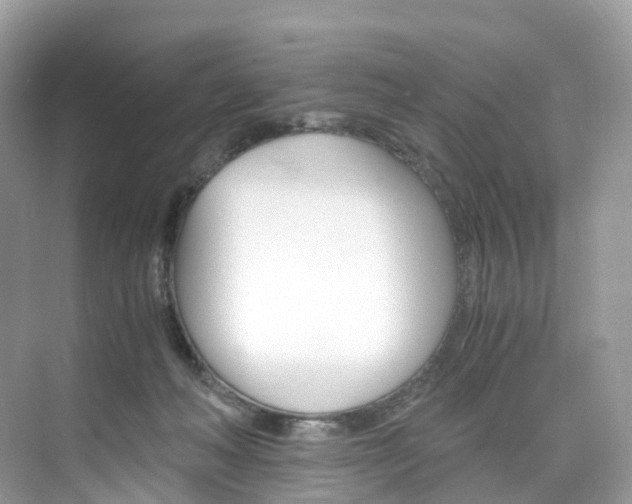 X0000076230222200609280955
