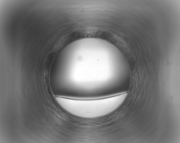 X0000076230225200609280955