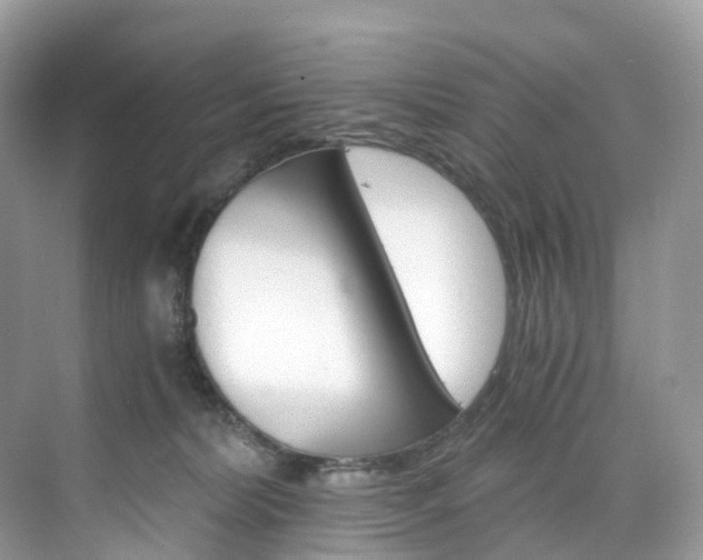 X0000076230228200609280955