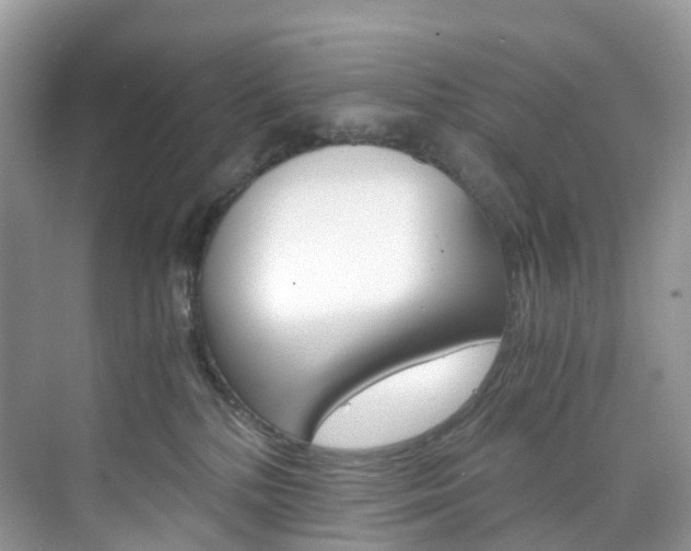 X0000076230232200609280955