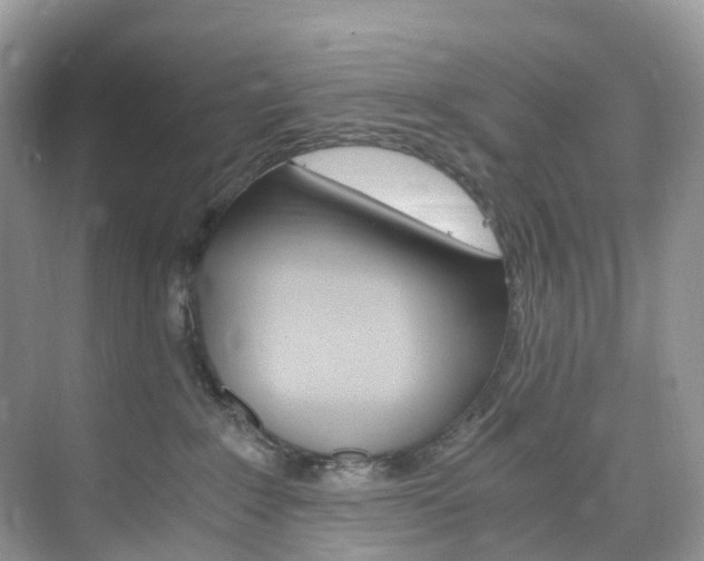 X0000076230235200609280955