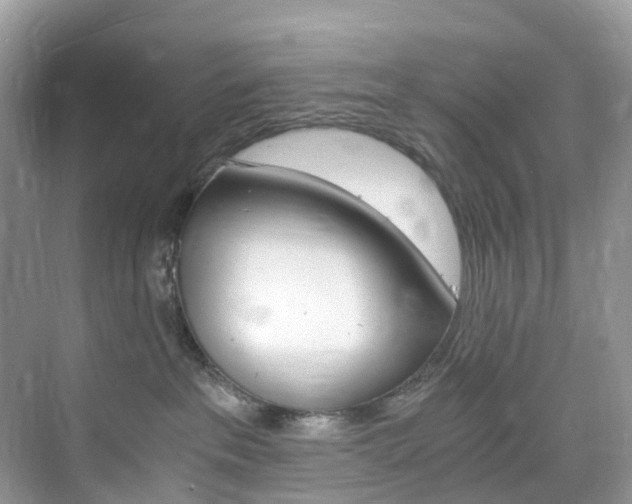 X0000076230237200609280955