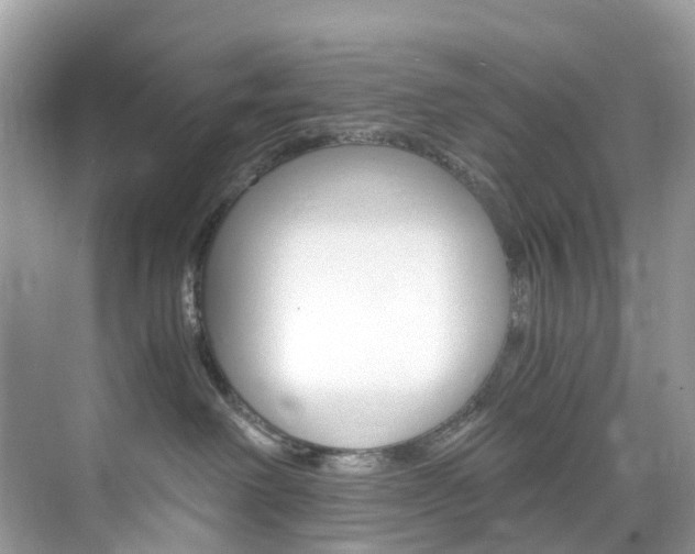 X0000076230238200609280955