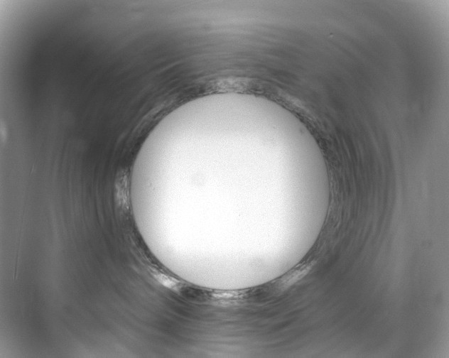 X0000076230240200609280955