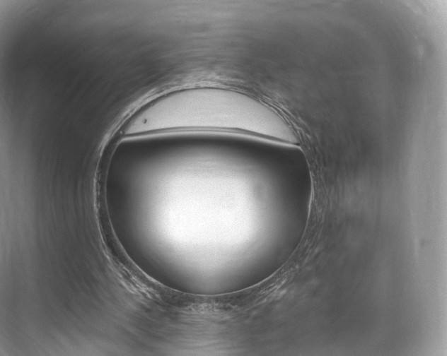 X0000076230244200609280954