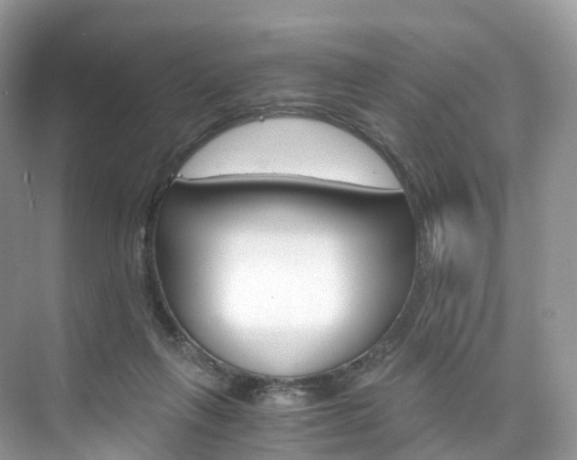 X0000076230263200609280955