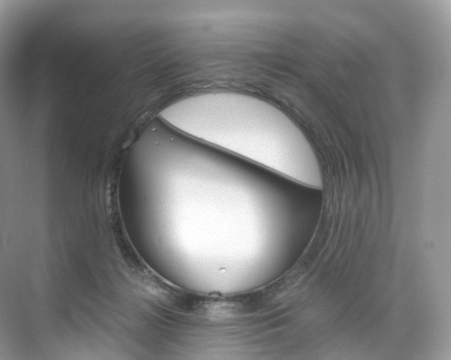 X0000076230268200609280955