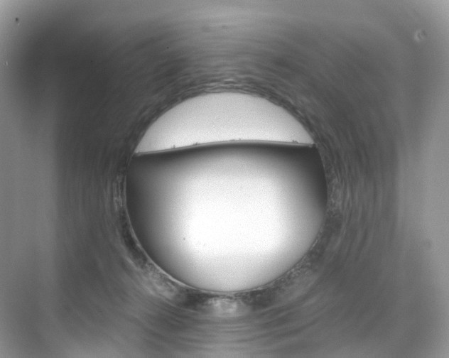 X0000076230272200609280955