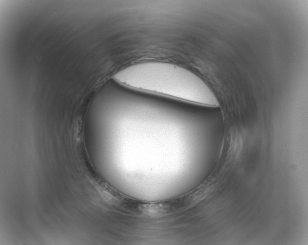 X0000076230273200609280955