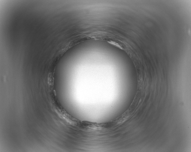 X0000076230284200609280955