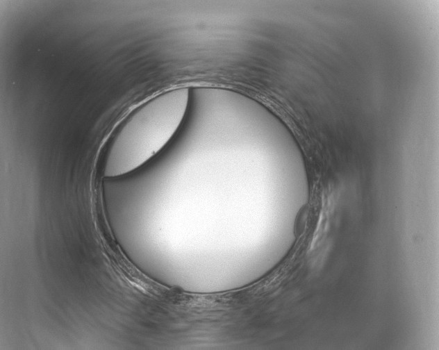 X0000076230290200609280954