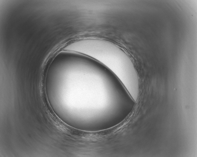X0000076230293200609280954