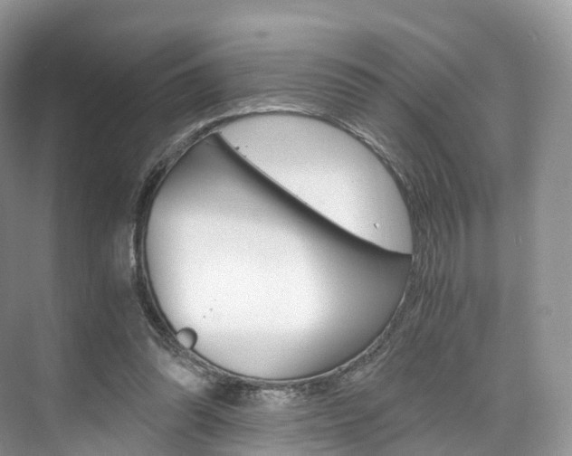 X0000076230302200609280954