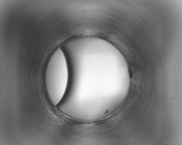 X0000076230306200609280954