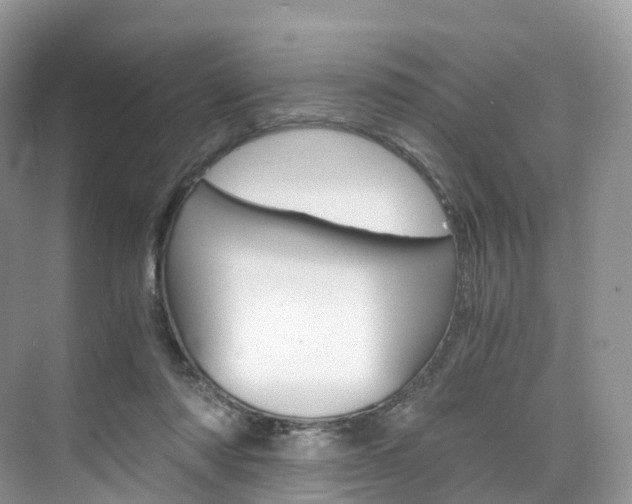 X0000076230310200609280954