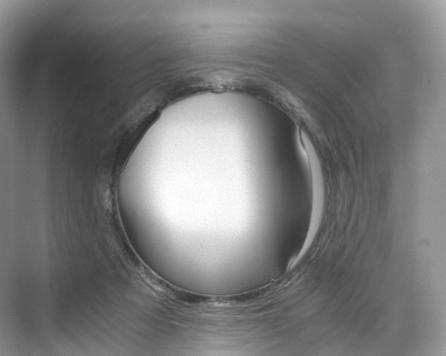 X0000076230313200609280954