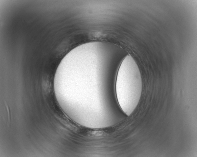 X0000076230324200609280954