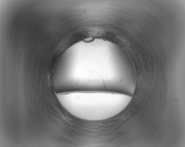 X0000076230327200609280954