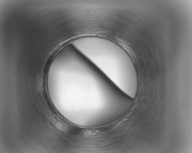X0000076230346200609280953