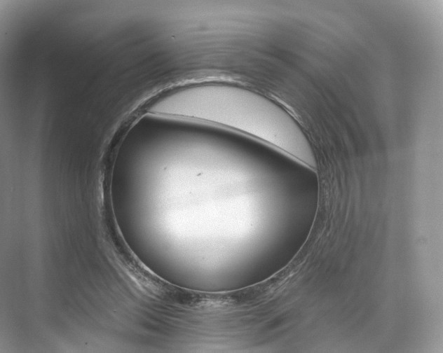 X0000076230350200609280953