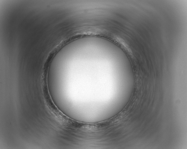 X0000076230354200609280953
