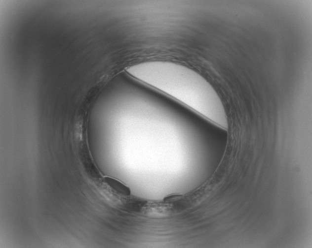 X0000076230368200609280953