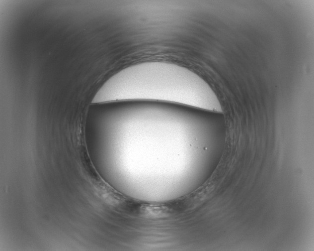 X0000076230372200609280953