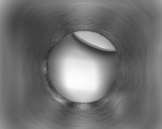 X0000076230383200609280954