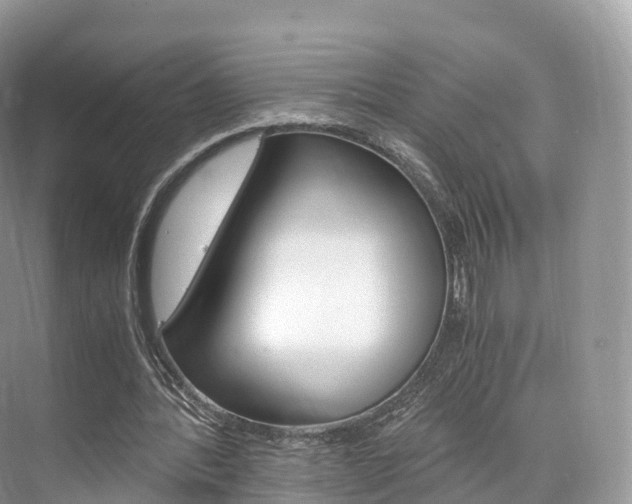 X0000076230388200609280953
