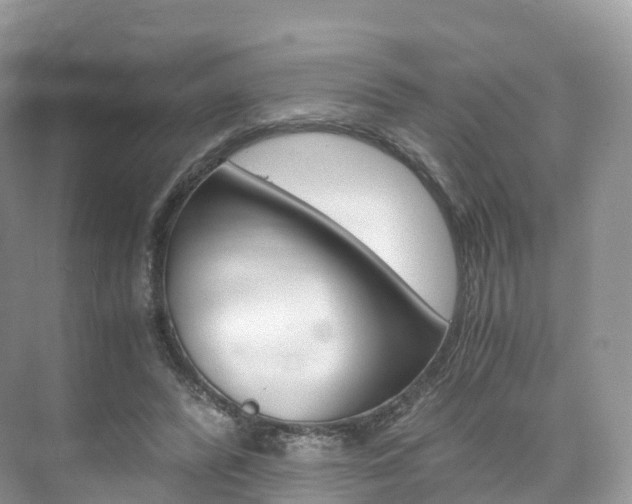X0000076230400200609280952