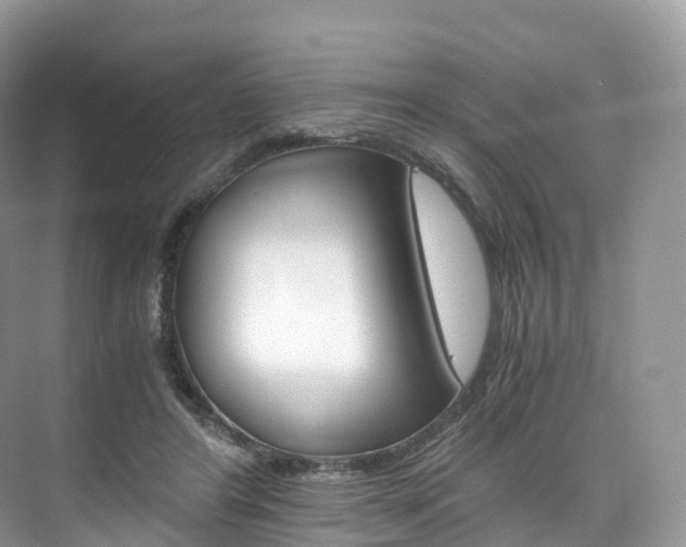 X0000076230404200609280952