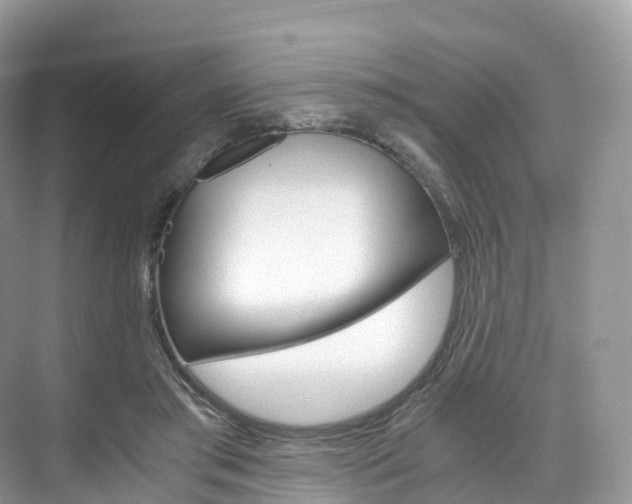 X0000076230405200609280952