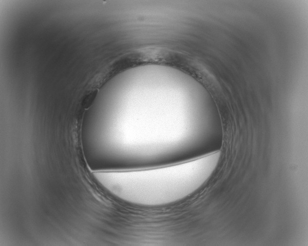 X0000076230413200609280952