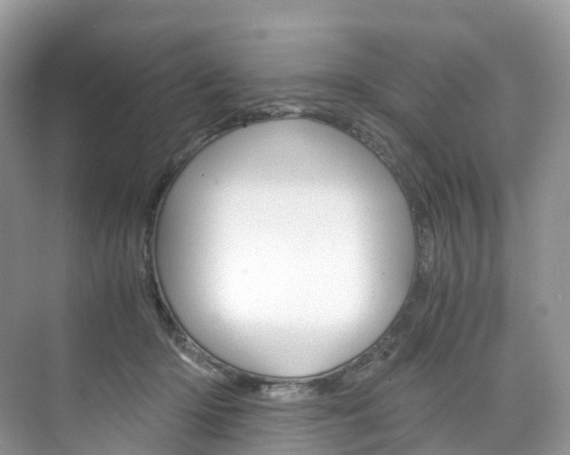 X0000076230414200609280952